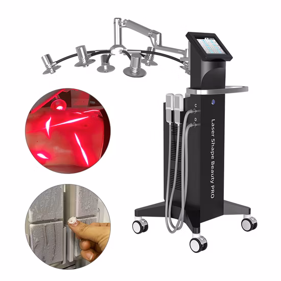 Equipo de belleza de criolipólisis adelgazante moldeador corporal para pérdida de peso