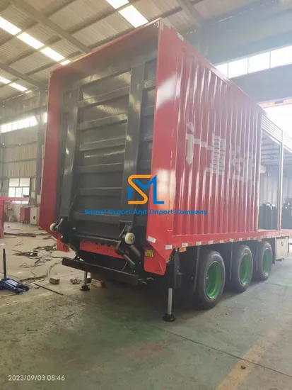 Profesional Shockwave Body Sculptor anticelulítico para equipos de belleza